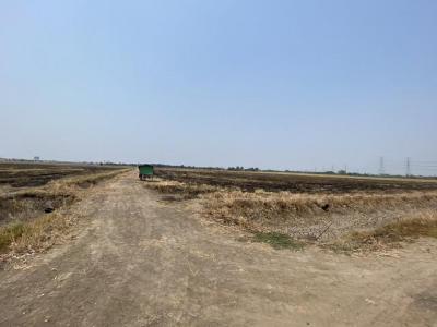ที่ดิน 429000000 ฉะเชิงเทรา บางปะกง บางวัว