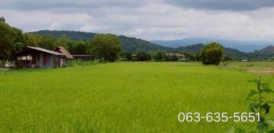 ที่ดิน 9000000 นครนายก เมืองนครนายก สาริกา
