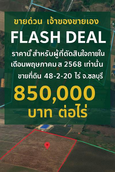 ที่ดิน 41300000 ชลบุรี บ่อทอง ธาตุทอง