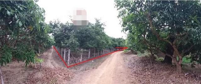 ที่ดิน 1091200 ลำพูน บ้านโฮ่ง เหล่ายาว ที่ดิน 1091200 ลำพูน บ้านโฮ่ง เหล่ายาว