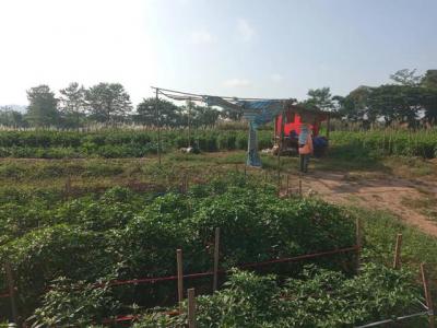 ที่ดิน 800000 น่าน ท่าวังผา ศรีภูมิ