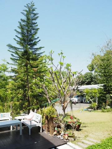 บ้านเดี่ยว 9900000 เชียงใหม่ ดอยสะเก็ด แม่โป่ง