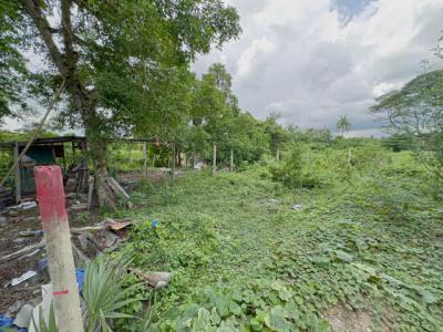 ที่ดิน 1900000 นนทบุรี ปากเกร็ด บางตะไนย์