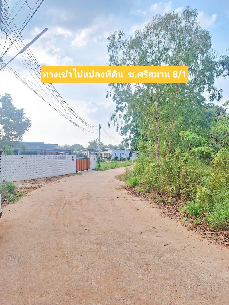 ที่ดิน 1400000 ขอนแก่น เมืองขอนแก่น เมืองเก่า ที่ดิน 1400000 ขอนแก่น เมืองขอนแก่น เมืองเก่า