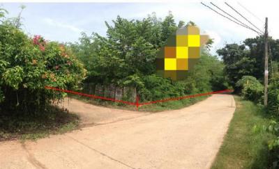 ที่ดิน 3581600 กาฬสินธุ์ ยางตลาด ยางตลาด