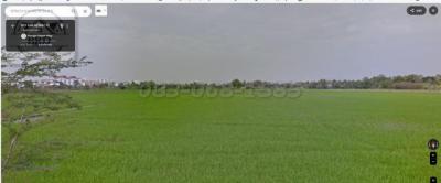 ที่ดิน 250000000 กรุงเทพมหานคร เขตหนองจอก กระทุ่มราย