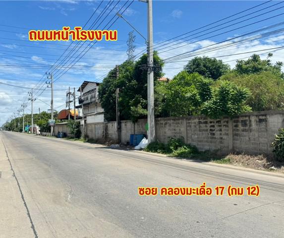 โรงงาน 90000000 สมุทรสาคร กระทุ่มแบน คลองมะเดื่อ โรงงาน 90000000 สมุทรสาคร กระทุ่มแบน คลองมะเดื่อ