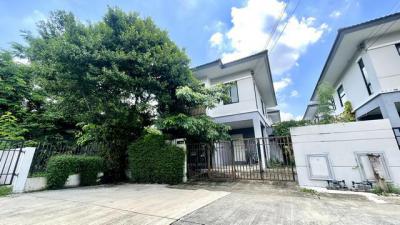 บ้านเดี่ยว 5300000 ปทุมธานี เมืองปทุมธานี หลักหก