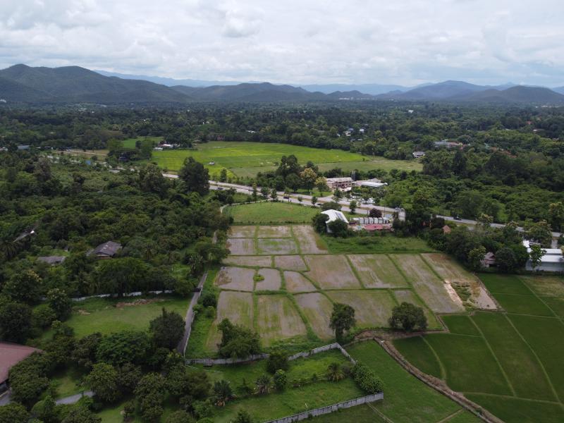 ที่ดิน 26500000 เชียงใหม่ ดอยสะเก็ด เชิงดอย