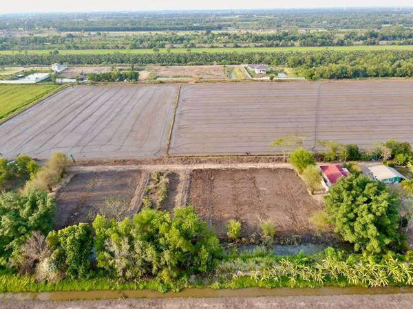 โกดัง 650000 ปทุมธานี หนองเสือ บึงกาสาม โกดัง 650000 ปทุมธานี หนองเสือ บึงกาสาม
