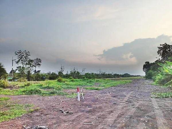 ที่ดิน 450000 ปทุมธานี หนองเสือ บึงกาสาม ที่ดิน 450000 ปทุมธานี หนองเสือ บึงกาสาม