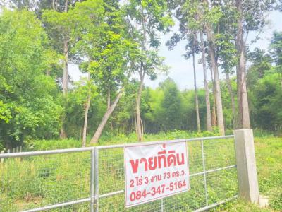 ที่ดิน 5400000 ศรีสะเกษ กันทรารมย์ ดูน