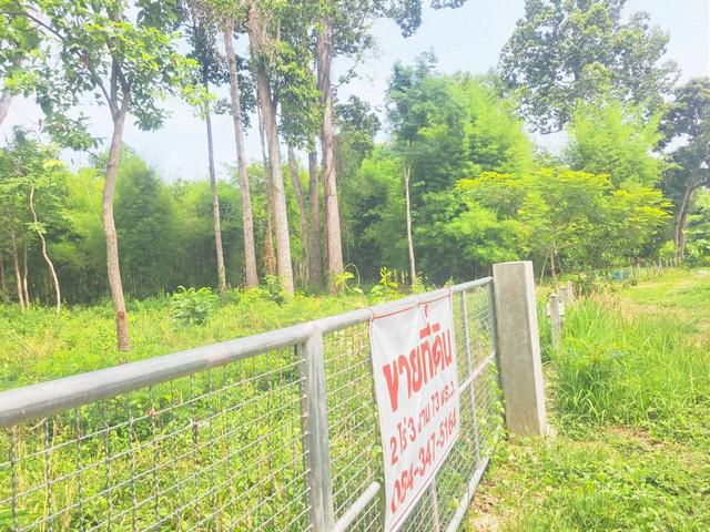 ที่ดิน 5400000 ศรีสะเกษ กันทรารมย์ ดูน ที่ดิน 5400000 ศรีสะเกษ กันทรารมย์ ดูน