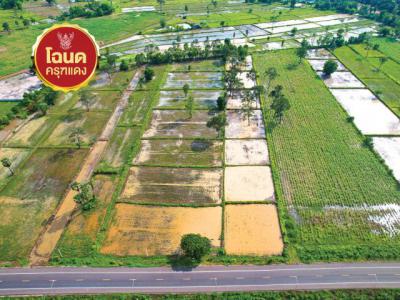 ที่ดิน 4000000 บุรีรัมย์ ประโคนชัย จรเข้มาก