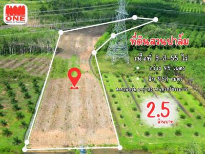 ที่ดิน 2500000 นครศรีธรรมราช ทุ่งสง ควนกรด