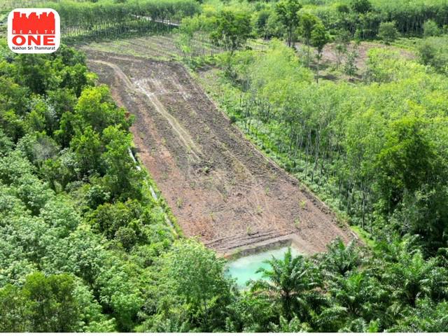 ที่ดิน 2500000 นครศรีธรรมราช ทุ่งสง ควนกรด ที่ดิน 2500000 นครศรีธรรมราช ทุ่งสง ควนกรด