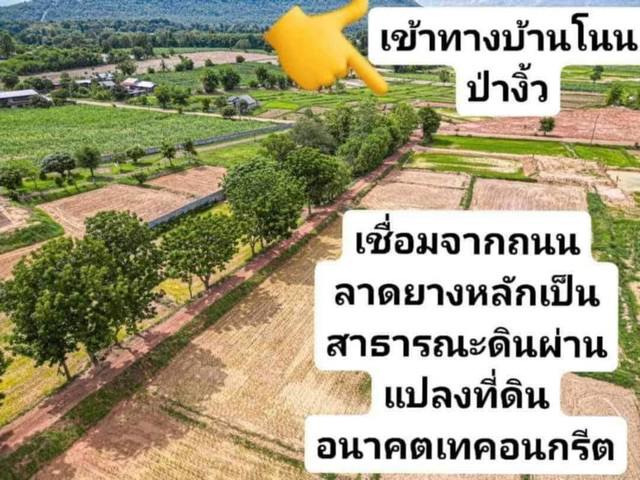 ที่ดิน 980000 กาฬสินธุ์ สหัสขันธ์ โนนบุรี ที่ดิน 980000 กาฬสินธุ์ สหัสขันธ์ โนนบุรี