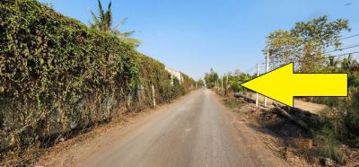 ที่ดิน 17857800 ปทุมธานี หนองเสือ บึงบา