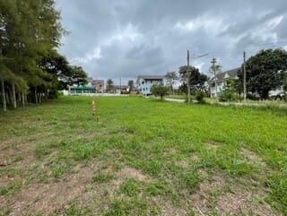 ที่ดิน 1200000 เพชรบูรณ์ เขาค้อ แคมป์สน