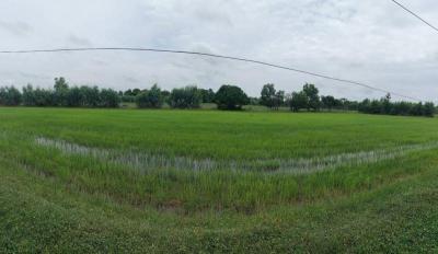 ที่ดิน -1 ร้อยเอ็ด สุวรรณภูมิ หินกอง