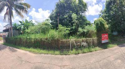 ที่ดิน 0 ร้อยเอ็ด เสลภูมิ กลาง