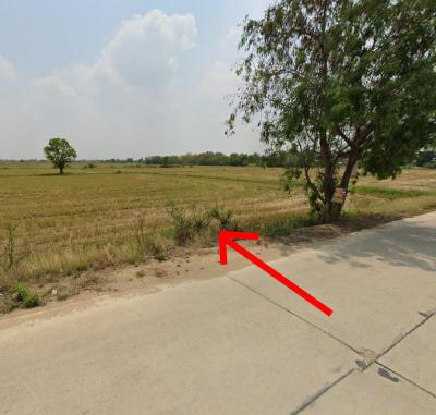 ที่ดิน 0 ชลบุรี พนัสนิคม ไร่หลักทอง