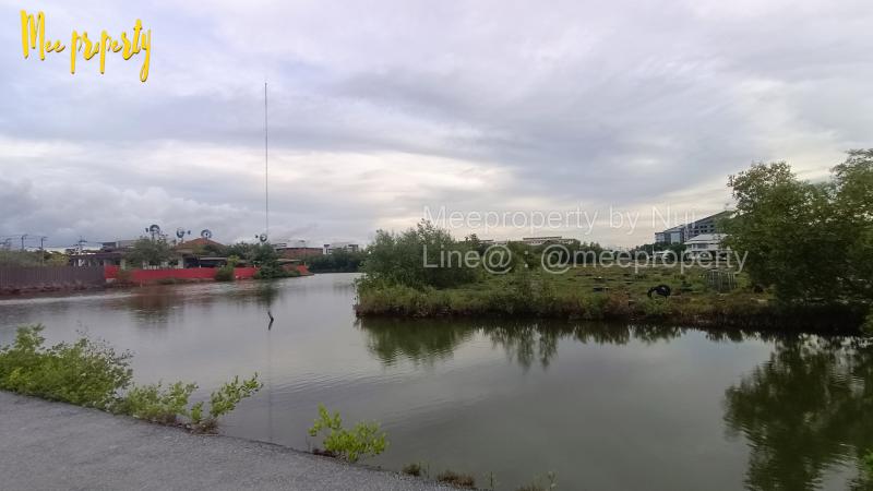 ที่ดิน 20000 กรุงเทพมหานคร เขตบางขุนเทียน ท่าข้าม