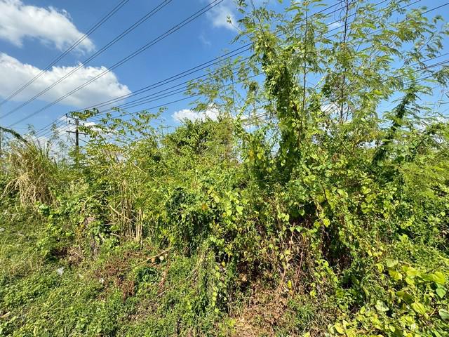 ที่ดิน 2200000 จันทบุรี เมืองจันทบุรี แสลง