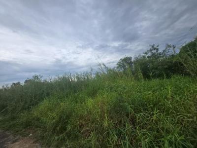 ที่ดิน 93135000 ปทุมธานี คลองหลวง คลองหนึ่ง