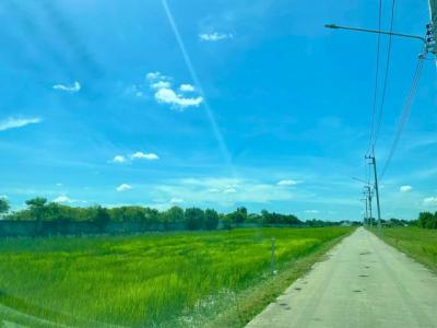 ที่ดิน 3880000 พระนครศรีอยุธยา บางปะอิน สามเรือน