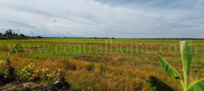 อาคารพาณิชย์ 26000000 ชลบุรี ศรีราชา ศรีราชา