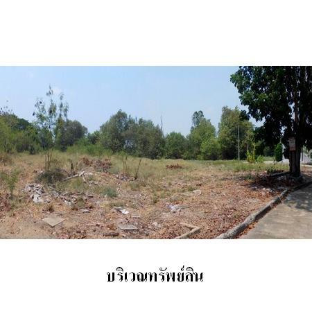 ที่ดิน 72235700 กรุงเทพมหานคร เขตคลองสามวา ทรายกองดิน