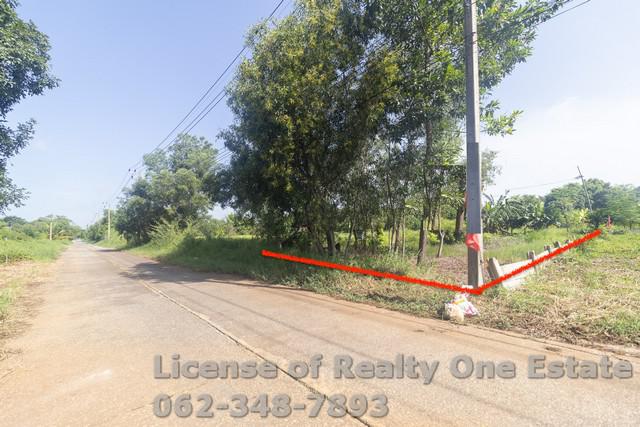 ที่ดิน 990000 ปทุมธานี หนองเสือ หนองสามวัง