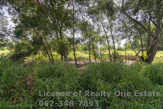 ที่ดิน 990000 ปทุมธานี หนองเสือ หนองสามวัง