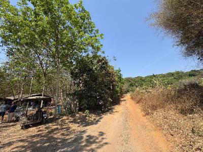 ที่ดิน 58000000 ระยอง แกลง ชากพง