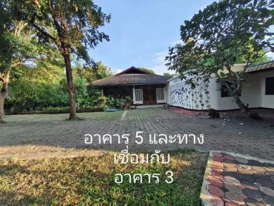 ที่ดิน 33000000 เชียงใหม่ สันกำแพง บวกค้าง