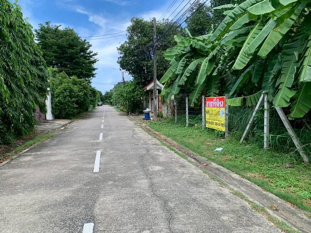 ที่ดิน 130000 กรุงเทพมหานคร เขตบางกะปิ หัวหมาก