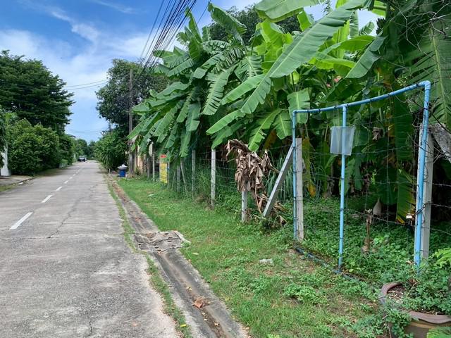 ที่ดิน 130000 กรุงเทพมหานคร เขตบางกะปิ หัวหมาก