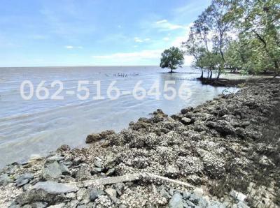 ที่ดิน 6250 สมุทรสงคราม เมืองสมุทรสงคราม บางจะเกร็ง