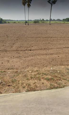 ที่ดิน 1300000 ชลบุรี พนัสนิคม โคกเพลาะ