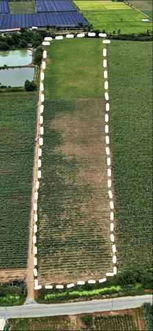 ที่ดิน 650000 นครปฐม กำแพงแสน ทุ่งลูกนก