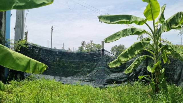 ที่ดิน 8000000 กรุงเทพมหานคร เขตบางขุนเทียน ท่าข้าม