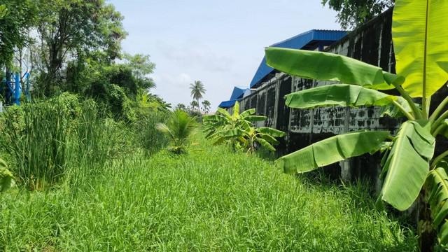 ที่ดิน 8000000 กรุงเทพมหานคร เขตบางขุนเทียน ท่าข้าม