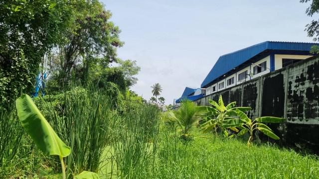 ที่ดิน 8000000 กรุงเทพมหานคร เขตบางขุนเทียน ท่าข้าม