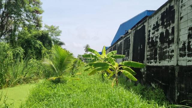 ที่ดิน 8000000 กรุงเทพมหานคร เขตบางขุนเทียน ท่าข้าม