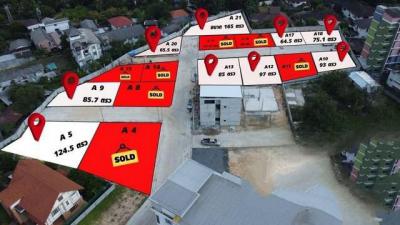 ที่ดิน 43000 เชียงใหม่ เมืองเชียงใหม่ ช้างเผือก