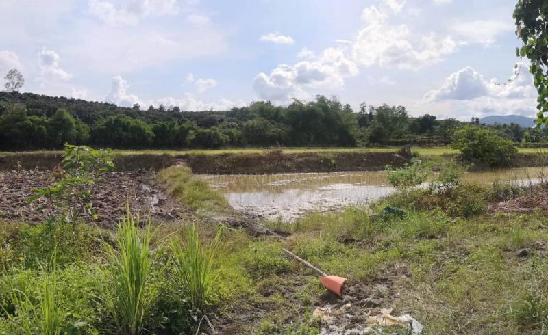 ที่ดิน 6000000 เชียงใหม่ พร้าว โหล่งขอด