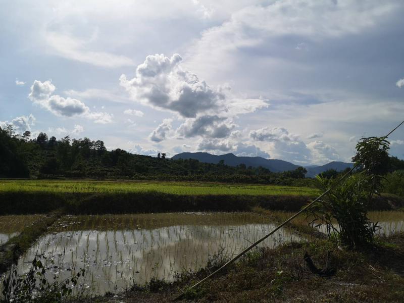 ที่ดิน 6000000 เชียงใหม่ พร้าว โหล่งขอด