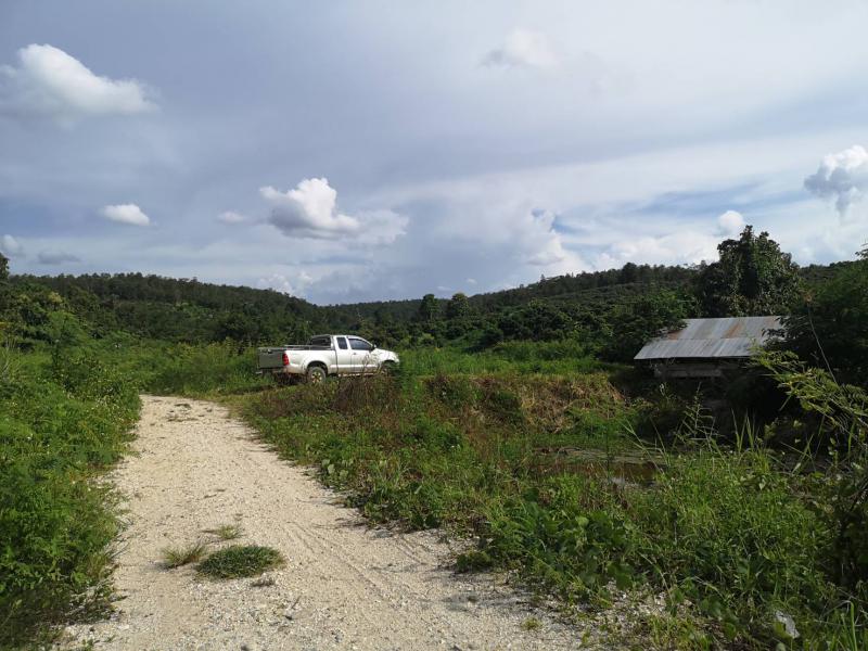 ที่ดิน 6000000 เชียงใหม่ พร้าว โหล่งขอด