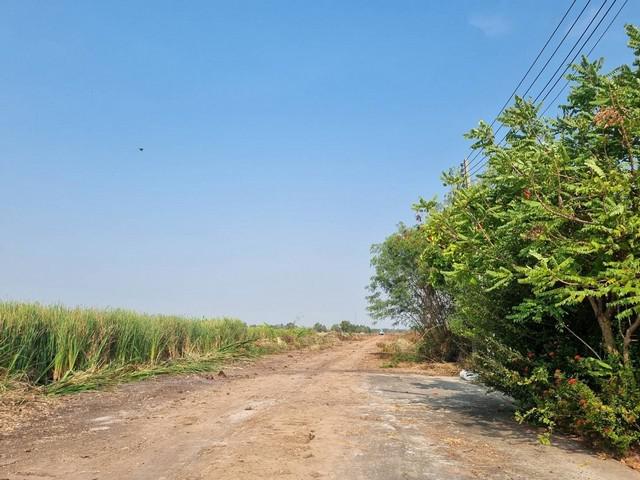 ที่ดิน 3500000 ฉะเชิงเทรา เมืองฉะเชิงเทรา คลองอุดมชลจร